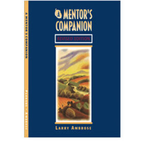 A Mentor's Companion